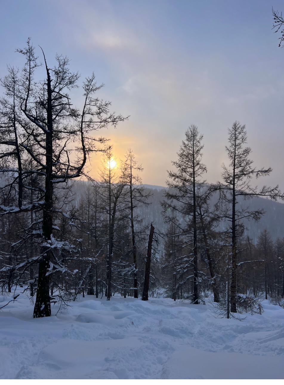 Altay